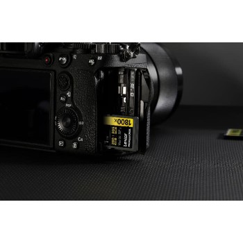 The-Nho-Lexar-Professional-1800x-1TB-SDXC-UHS-II-U3-V60-5