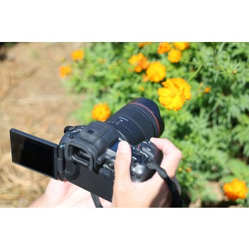 Canon-RF-14mm-f1-4-L-VCM-10