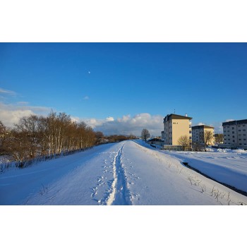 Sigma-15mm-F1-4-DC-Contemporary-6